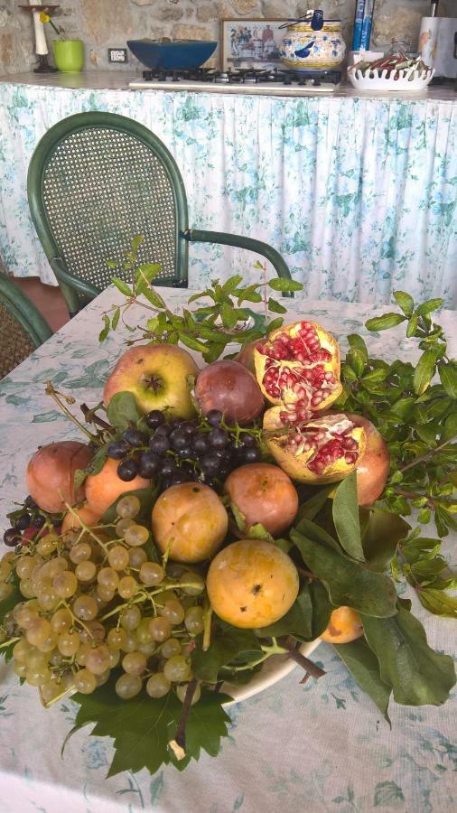 كاباتشو - بايستوم B&B Macchia D'Olmo المظهر الخارجي الصورة